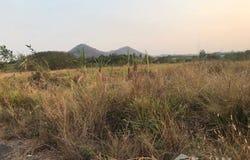 หนูจิน เฟอร์นิเจอร์, เอเอช 19, หนองอิรุณ, บ้านบึง, ชลบุรี, 20220 ประเทศไทย, บ้านบึง,