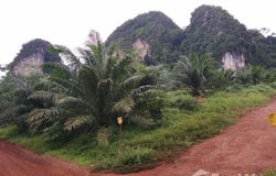 Atv Srakaew Kitrungraoung Adventure, ทางหลวงชนบท กบ. 1003, เขาทอง, กระบี่, 81000 ประเทศไทย, กระบี่,