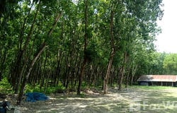 คาเฟ่ซอซุลลา, บ้านโคก, มุกดาหาร, 49000 ประเทศไทย, มุกดาหาร,