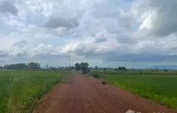 ถนน สุวรรณศร, ปากพลี, นครนายก, 26130 ประเทศไทย, ปากพลี,