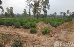 บริษัท บุญสมสิริโกลด์แอนด์เซอร์วิส, ซอย พลธิราช, มุกดาหาร, 49000 ประเทศไทย, มุกดาหาร,