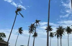 กุยบุรี, ประจวบคีรีขันธ์, 77150 ประเทศไทย, กุยบุรี,
