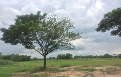 ครัวถุงเงินถุงทอง, อุดมทรัพย์ ซอย 3, นครนายก, 26000 ประเทศไทย, นครนายก,