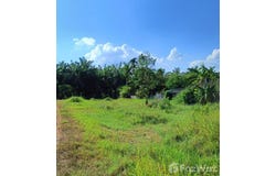 4037, เขาดิน, เขาพนม, กระบี่, 81140 ประเทศไทย, เขาพนม,