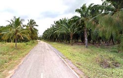 Bio Pellet Fertilizer Producer Group Village No 6, ศาลาลัย, สามร้อยยอด, ประจวบคีรีขันธ์, 77180 ประเทศไทย, สามร้อยยอด,