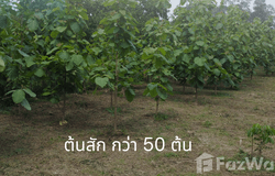 สาริกา-นางรอง 28/1, สาริกา, นครนายก, 26000 ประเทศไทย, นครนายก,