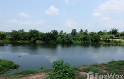 เนงโฟโต้ คาเฟ่ทรี, ซอย หอสองนาง, ท่าบ่อ, หนองคาย, 43110 ประเทศไทย, ท่าบ่อ,