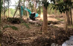 บ้านลิตเติ้ลดราก้อน, หนองทะเล, กระบี่, 81180 ประเทศไทย, กระบี่,