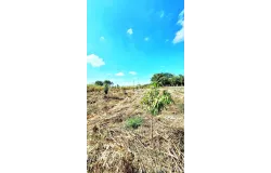 KM Grape Garden, มุกดาหาร, 49000 ประเทศไทย, มุกดาหาร,