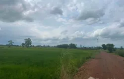 ถนน สุวรรณศร, ปากพลี, นครนายก, 26130 ประเทศไทย, ปากพลี,