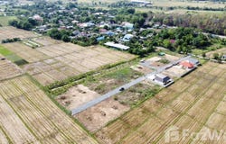 บ้านดงแม่ซ้อ, อำเภอสันกำแพง, จังหวัดเชียงใหม่, ประเทศไทย, สันกำแพง,