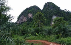 Atv Srakaew Kitrungraoung Adventure, ทางหลวงชนบท กบ. 1003, เขาทอง, กระบี่, 81000 ประเทศไทย, กระบี่,