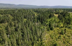 1349 West Side Middle River Road, Middle River, NS B0E 1B0