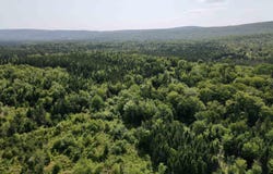 1349 West Side Middle River Road, Middle River, NS B0E 1B0