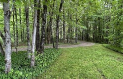 371 Lacey Mines Road, Chester Basin, NS B0J 1K0