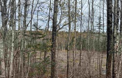 Feener Road, Farmington, NS B0R 1A0