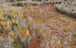 Feener Road, Farmington, NS B0R 1A0