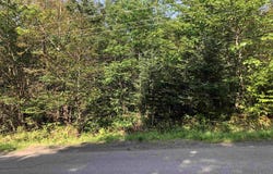 Lighthouse Road Lot, Bay View, NS B0V 1A0