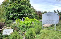 5248 Shore Road, Parkers Cove, NS B0S 1A0