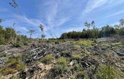 Second Division Road Lot, Meteghan, NS B0W 2J0