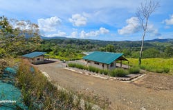 Finca Harmony, Platanillo, 11909
