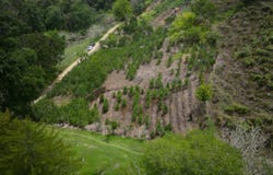Vista Cascada, Herradura de Rivas, 11904