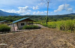 Finca Harmony, Platanillo, 11909