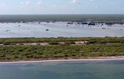 Santa Clara, Dzidzantún,
