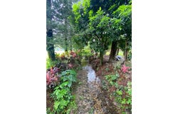 El Valle de Anton, Cocle,