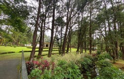 El Valle de Anton, Cocle,