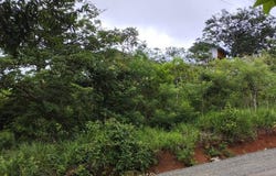 Penonome, Cocle,
