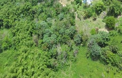 Km 1 CARR 759, Maunabo, Maunabo, 00707