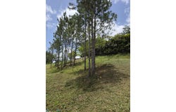 157 ZAFIRO, Ceiba, Cidra, 00739