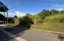 834 CARRETERA, Guaynabo, Guaynabo, 00971