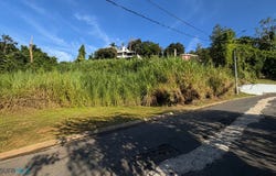 834 CARRETERA, Guaynabo, Guaynabo, 00971