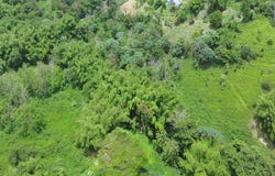 Km 1 CARR 759, Maunabo, Maunabo, 00707