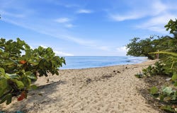 1D RINCON OCEAN VIEW, Rincon, Rincon, 00677