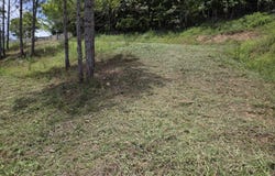 157 ZAFIRO, Ceiba, Cidra, 00739