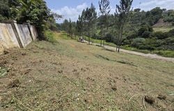 157 ZAFIRO, Ceiba, Cidra, 00739