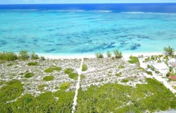 PUMPKIN BLUFF,