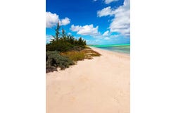 FABULOUS BEACHFRONT,