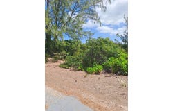 PUMPKIN BLUFF,