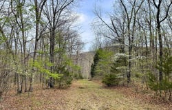 Cr 921, Alpena, AR 72611
