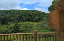 10777 County Highway 21, Franklin, NY 13775
