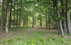 See View Lane lot: 58, Hertford, NC 27944