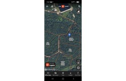 Critter, Gravois Mills, MO 65037