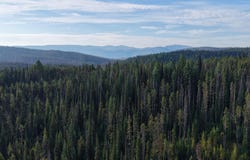 Copperhead Rd, Dixie, ID 83525