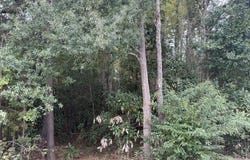 W Huggins Street, Manning, SC 29102