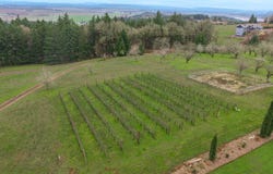 8580 SE HILLVIEW Dr, Amity, OR 97101