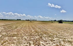 Highway 8, Cleveland, MS 38732